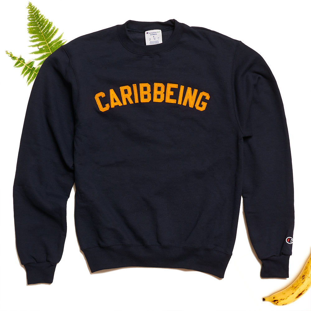 Carhartt theory online sweatshirt